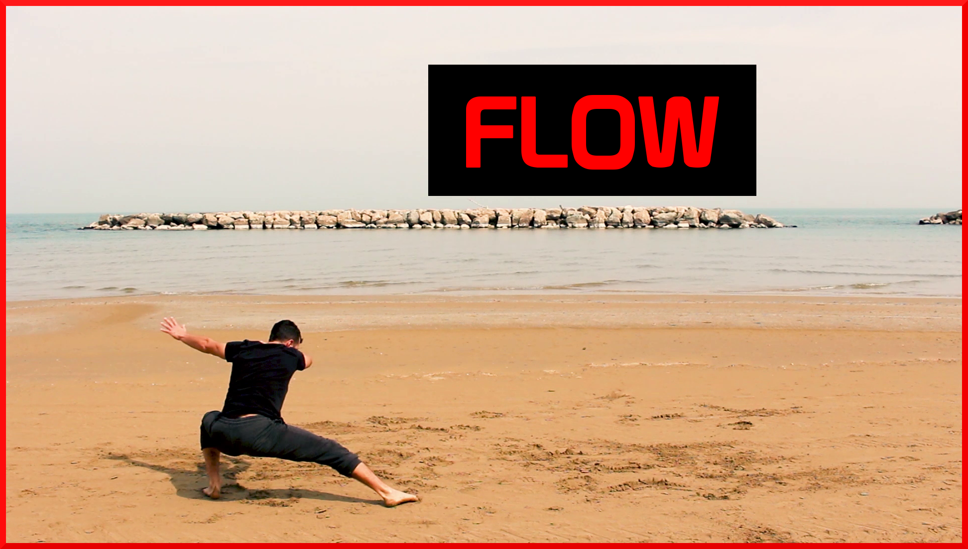 Imparare a fare il FLOW – Allenamento – Movement Training