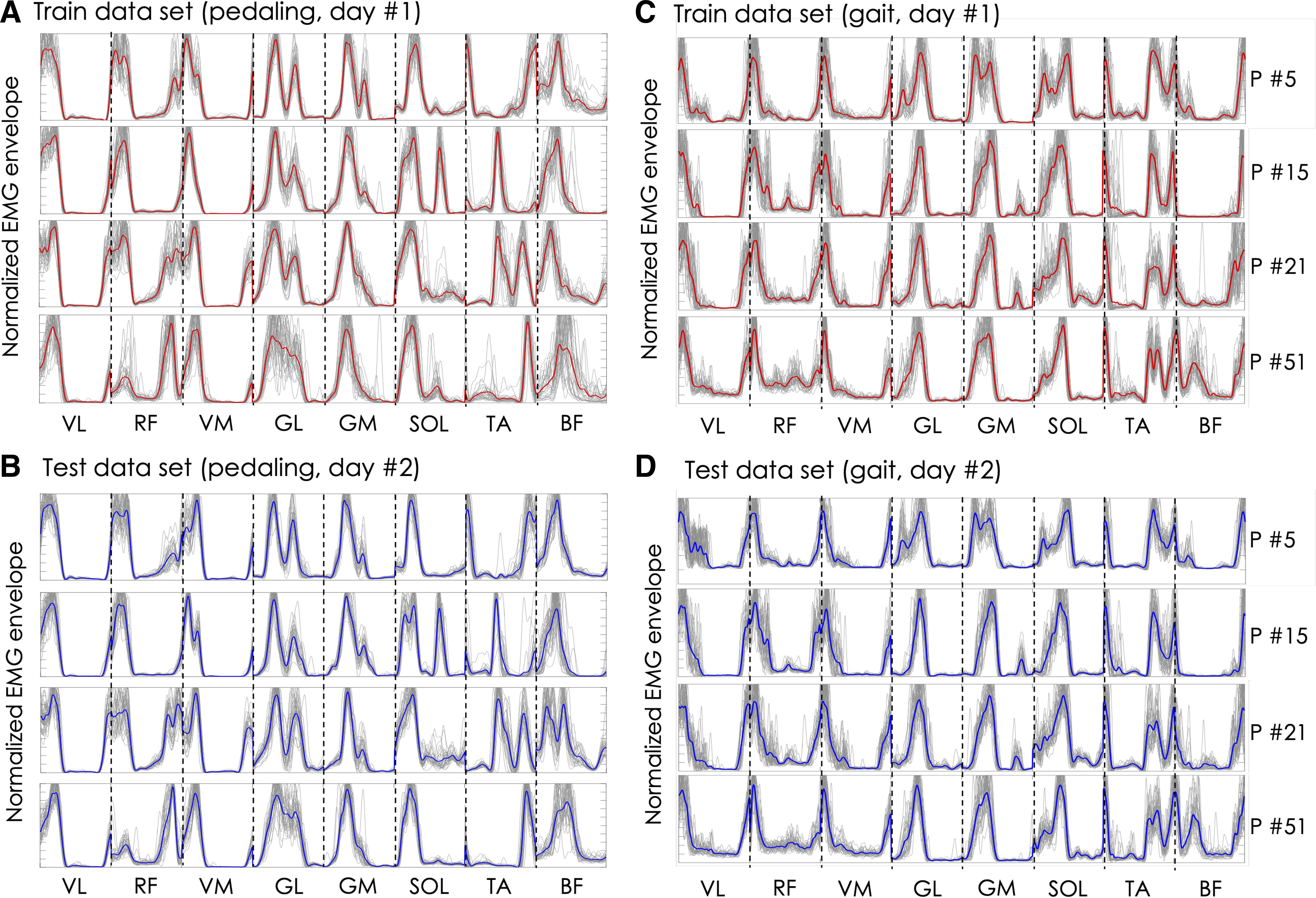 Pattern di attivazione muscolare: ogni essere umano si muove in maniera unica?