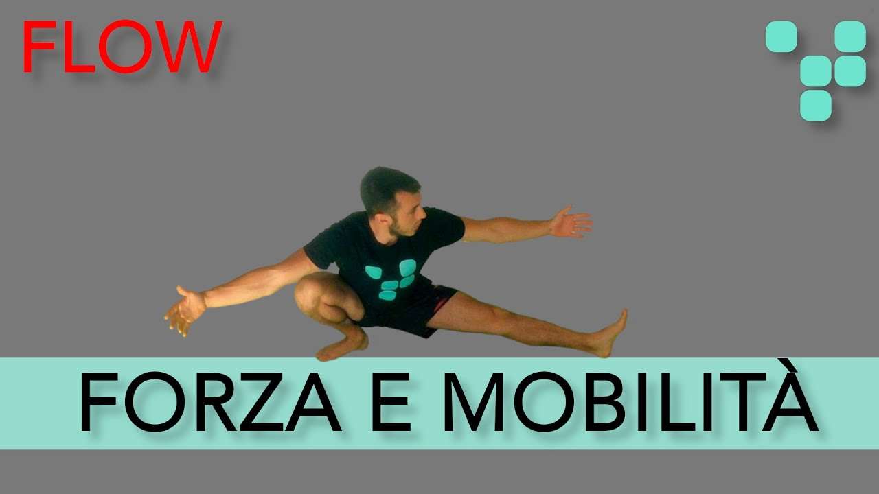 Allenamento Flow per Forza e Mobilità