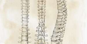 Sulla flessione lombare e altri range articolari "pericolosi"