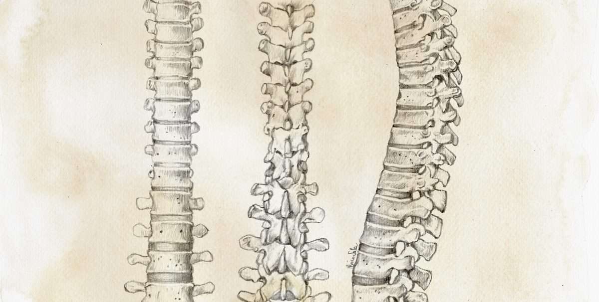 Sulla flessione lombare e altri range articolari “pericolosi”